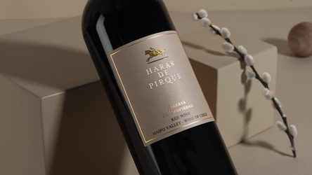 Vinul zilei: un cupaj intens și aromat de Cabernet Sauvignon, Carmenere și Cabernet Franc, de la o cramă din Valea Maipo, Chile