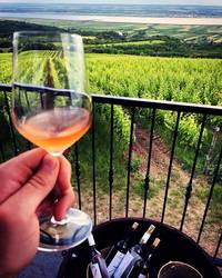 Vinul zilei: un roze, "o mică bijuterie oenologică", cu o expresie proaspătă, floral-fructată. Un vin excelent pentru debutul unei veri toride