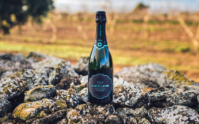 Vinul zilei: o cava spectaculoasă de la o cramă cu tradiție din Catalonia, care cucerește prin perlajul fin și notele de mere, pere, drojdie și foietaje