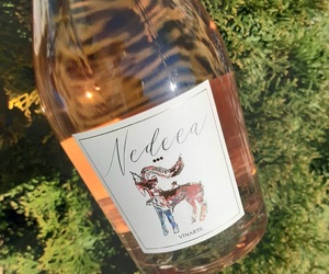 Vinul zilei: un roze din două soiuri românești, ambele descendente ale viței-de-vie sălbatice, cu note de rodie, vișine, coajă de grapefruit, prune uscate, violete, bujori și flori uscate
