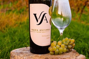 Vinul zilei: o Fetească Albă bine realizată, energică și proaspătă, ieșită din mâinile priceputului winemaker Darius Pripon. Dezvăluie tonuri minerale elegante alături de note citrice și fine accente florale.