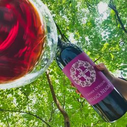 Vinul zilei: o Fetească Neagră cu corp frumos, structură bună, arome de fructe roșii și ciocolată neagră, cu taninuri puternice și postgust de poveste. Medaliat cu Aur la Mundus Vini 2023