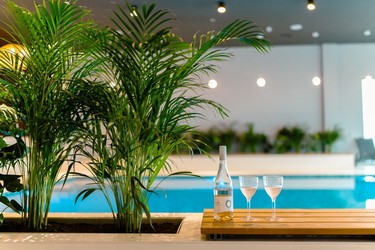 Vinul zilei: un roze exuberant ca un “hit de vară”, cu armonii fructate din sferele exotice, culoare provensală și vibrații crocante