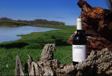 Vinul zilei: un Tempranillo de la o cramă cu o lungă tradiție din Spania, un vin roșu pe care însuși proprietarul îl păstrează în colecția personală. Perfect alături de preparate care au în centru sosul de roșii, dar și cu preparate condimentate din bucăt