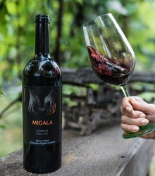 Vinul zilei: un cupaj roșu românesc din regiunea Dealu Mare, un asamblaj interesant de Merlot, Fetească Neagră și Cabernet Sauvignon. Perfect alături de preparate din vânat, friptură, tochitură moldovenească sau cozonac