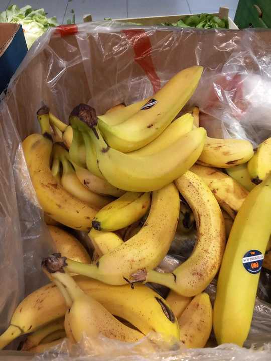 FOTO Bușteni: Un supermarket Mega Image și unul Lidl, închise temporar de comisarii ANPC. Au fost găsite legume și fructe stricate și frigidere murdare