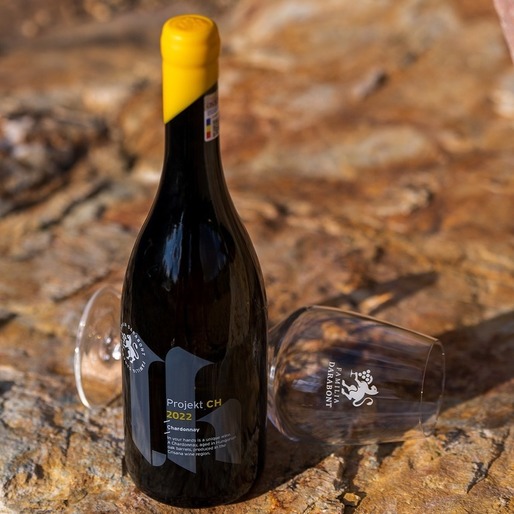 Vinul zilei: un Chardonnay într-un stil mai serios și ambițios, cu arome de fruct copt, de caise și piersici pârguite, alături de note de tartă cu vanilie, nuci prăjite și patiserie cu unt