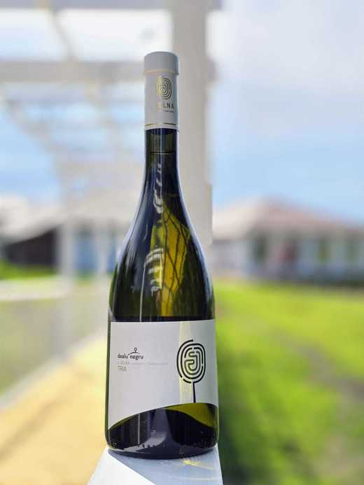 Vinul zilei: o premieră online, un cupaj inedit de Fetească Albă, Fetească Regală și Fetească Neagră vinificată în alb, un vin rafinat creat în Transilvania de către Darius Pripon