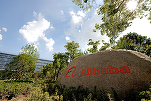 Scăderea cererii consumatorilor din China, reflectată în rezultatele financiare trimestriale ale Alibaba și JD.com