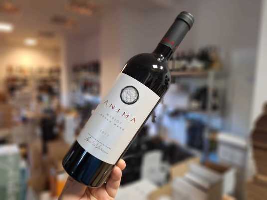 Vinul zilei: un Merlot din regiunea Săhăteni, un vin ajuns la maturitate, cu arome de fructe negre și roșii, piper, scorțișoară și subtile note vanilate