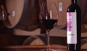 Vinul zilei: un Merlot de la o cramă românească, cu arome intense de mure, cireșe negre și prune coapte, la care se adaugă notele de lemn dulce, vanilie, ciocolată neagră și cafea