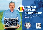 FOTO Carrefour aduce în România, în premieră, un produs în februarie