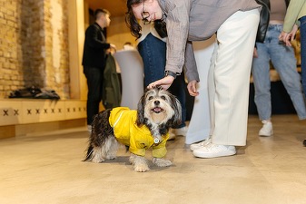 EXCLUSIV Liderul Ucrainei la hrană de animale explică de ce ia în calcul România pentru o nouă fabrică