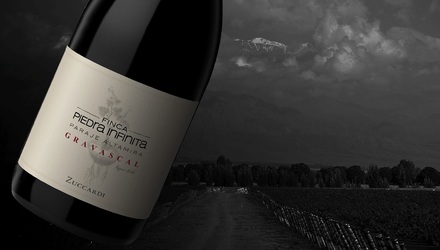 Vinul zilei: un Malbec remarcabil, cotat cu 98 puncte Robert Parker, 98 puncte James Suckling și 97 puncte Vinous. Un vin cu note de fructe negre, piper și fine accente minerale. Perfect alături de carne roșie, vânat sau brânzeturi maturate