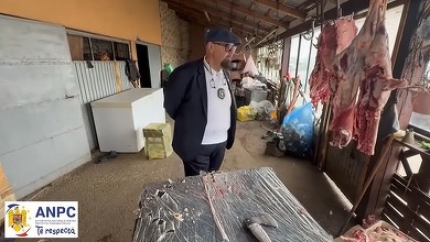 VIDEO Piedone, în control la o fermă de lângă București unde se tăiau miei și iezi. Ce au descoperit comisarii