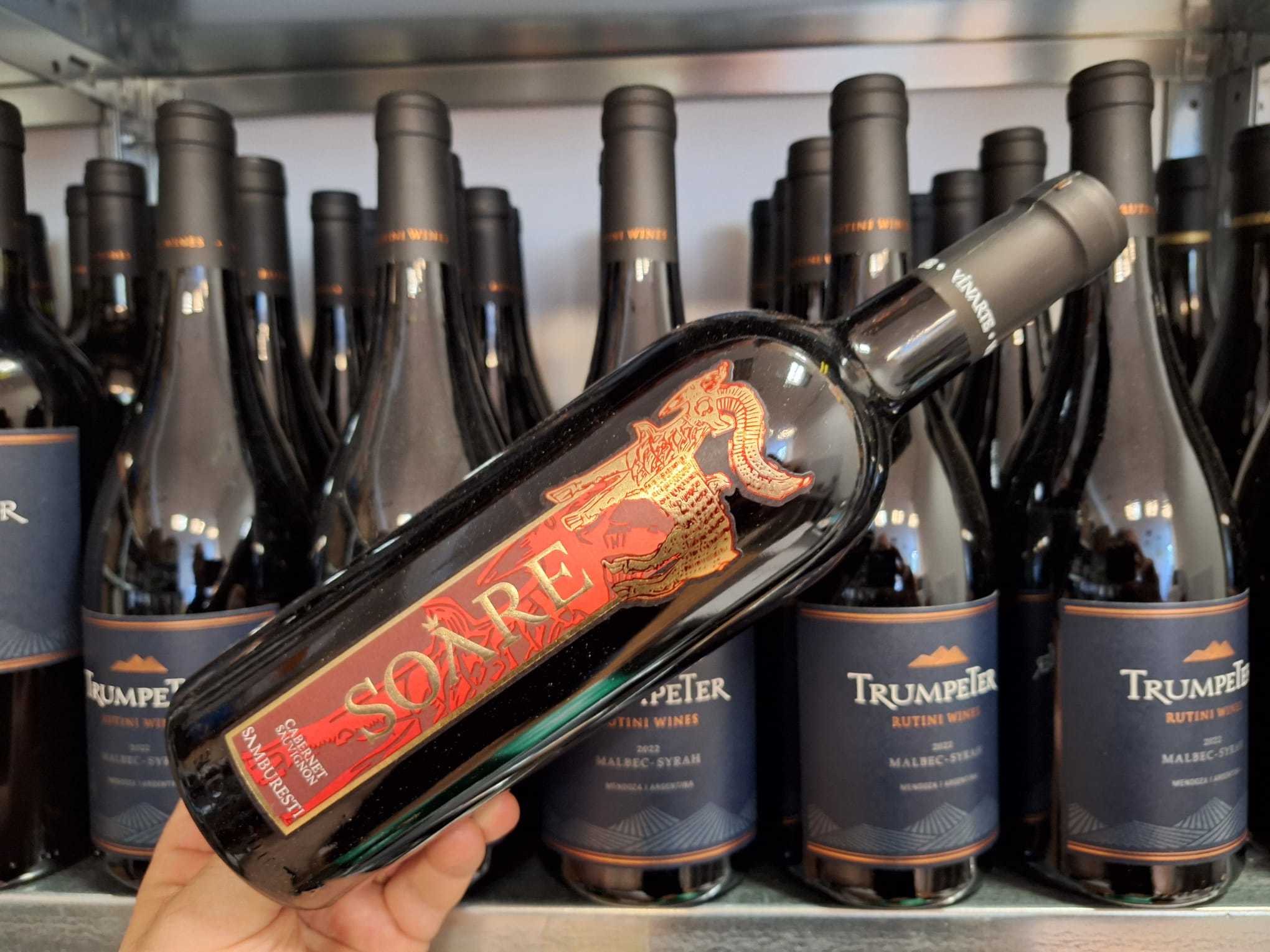 Vinul zilei: un Cabernet Sauvignon intens și elegant, un vin care exprimă echilibrul perfect între forță și finețe, cu note de fructe coapte, ciocolată, vanilie și piele fină, perfect alături de o friptură suculentă și conversații prelungite