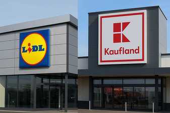 GRAFICE Lidl - lider în România, Kaufland își întărește poziția de „challenger”