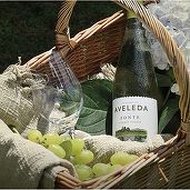 Vinul zilei: un Vinho Verde accesibil, o explozie de arome de mere și pere verzi, lime, grapefruit și flori de câmp, toate pe un subtil fundal de miere de albine. Potrivit alături de tartă sărată de cod, curry de pui, pește alb sau legume la grătar