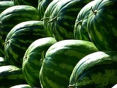 Pepenii de import au invadat piețele din România. „Vindem la un super preț, doritorii sunt așteptați!”