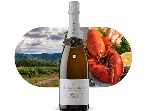 Vinul zilei: un spumant mediteraneean vibrant, cu note de flori albe, citrice și nuci. Savuros alături de fructe de mare, pește, tartar de somon, preparate fine cu legume și brânzeturi. Cotat cu 92 puncte Robert Parker