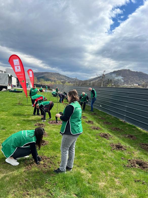 FOTO Kaufland plantează mini-păduri în România, cu o metodă japoneză