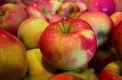 Producția de fructe a României, compromisă - Prăpăd la cireșe, mari pierderi la mere