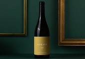 Vinul zilei: un Pecorino din Marche, axat pe prospețime și aciditate, cu arome plăcute și intense de citrice, piersici și discrete note exotice. Foarte potrivit alături de salate, fructe de mare și mâncăruri ușoare