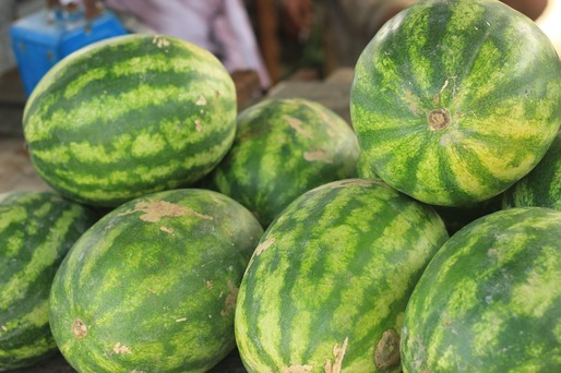 Pepeni cu gust de ananas, în România