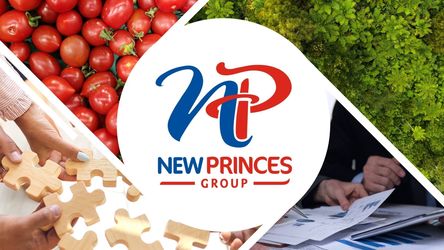 După ce a cumpărat Carrefour Italia, compania NewPrinces este interesată de alte achiziții