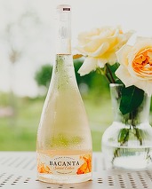 Vinul zilei: un Gewurztraminer de la o cramă din Vrancea, cu arome de trandafiri, citrice, fructe uscate și picanterii orientale. Savuros alături de creveți cu salsa ușor picantă, acompaniați de sunetul valurilor mării
