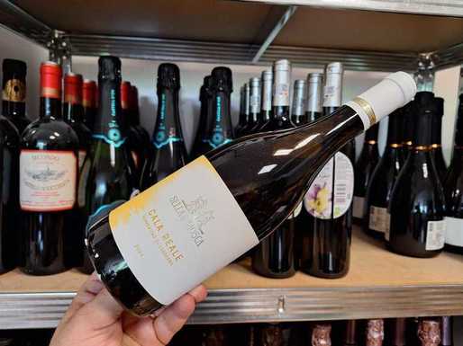 Vinul zilei: un Vermentino uimitor, un vin cu note de ardei verde, citrice coapte și fructe tropicale. În plan secundar, arome de ierburi aromatice, flori și citrice. Savuros alături de aperitive, fructe de mare sau paste cu sosuri ușoare