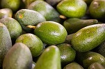 Kaufland introduce în România un sistem inedit pentru avocado VIDEO