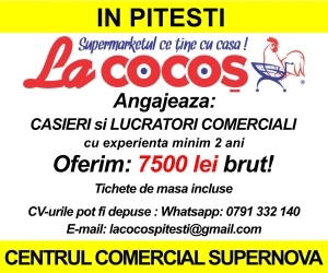 La Cocoș deschide un nou magazin: De la avion de linie la navetă spațială!