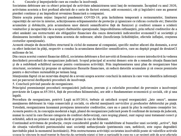 DOCUMENT Cum a intrat La Plăcinte în insolvență. “Boala nu este întotdeauna cauzată de neglijență.”