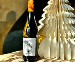 Vinul zilei: un orange wine elegant și îndrăzneț, cu arome de miere, caise confiate și mirodenii fine, obținut prin vinificare în amforă, ideal alături de brânzeturi, pește sau preparate picante