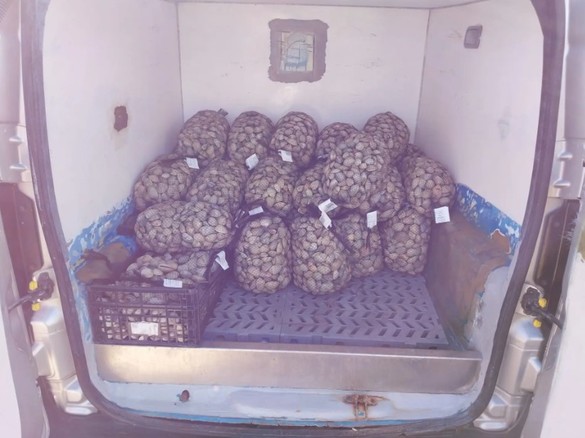 Produse alimentare contrafăcute ridicate de Europol FOTO