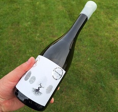 Vinul zilei: un Sauvignon Blanc din inima Transilvaniei, cu note olfactive de pomelo, flori de soc și fructul pasiunii. Excelent alături de brânzeturi maturate, plăcintă cu brânză sărată sau preparate cremoase