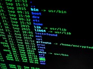 ULTIMA ORĂ Breșă de securitate la un mare retailer, prezent și în România