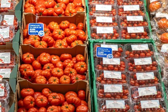 Carrefour anunță în România: Roșii românești tot anul FOTO