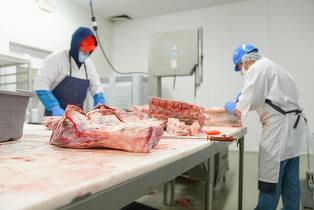 GRAFICE Marii producători de carne din România care vând prin La Cocoș, Auchan, Carrefour, Lidl, Profi, Kaufland, eMAG: Comtim lider , urmat de Abatorul Periș și Doly-Com Distribuție