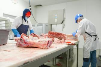 GRAFICE Marii producători de carne din România care vând prin La Cocoș, Auchan, Carrefour, Lidl, Profi, Kaufland, eMAG: Comtim lider , urmat de Abatorul Periș și Doly-Com Distribuție