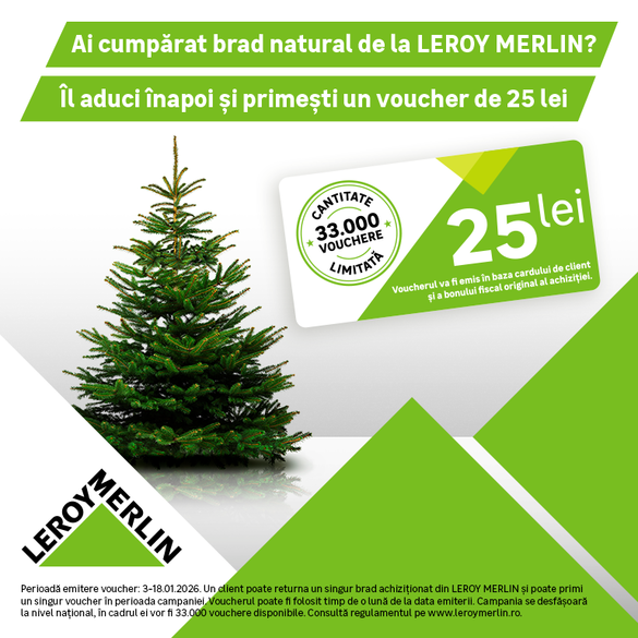 FOTO Ofertă în România - Primiți bani în locul brazilor de Crăciun. Lanț de magazine vine cu o campanie pe piață, dacă ați cumpărat bradul de la acest retailer