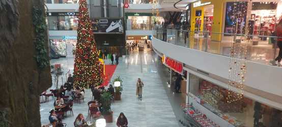 FOTO Mizerie în mall-uri. Insecte în blocul alimentar, vitrine murdare, produse alimentare expirate găsite de ANPC