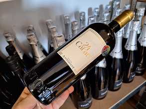 Vinul zilei: un alb premiat la concursurile din domeniu, cotat cu 99 de puncte Luca Maroni. Dezvăluie note seducătoare de mango, piersică, miere, pâine cu unt și citrice. Un vin elegant, creat pentru a impresiona