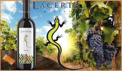 Vinul zilei: un cupaj roșu din Dealu Mare, obținut din Cabernet Sauvignon, Merlot, Fetească Neagră și Shiraz, cu arome de fructe roșii și negre, tente mineral-vegetale, note discrete de cafea și condimente