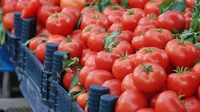 Vin primele roșii românești. Pot costa și 100 lei kilogramul