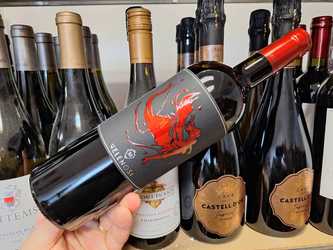 Vinul zilei: un cupaj de Cabernet Sauvignon, Merlot și Syrah, cotat cu 99 puncte Luca Maroni, un vin etalon, cu note de mure, cireșe negre, lemn dulce, piper negru și tabac. Ideal alături de carne roșie, lasagna, paste sau risotto