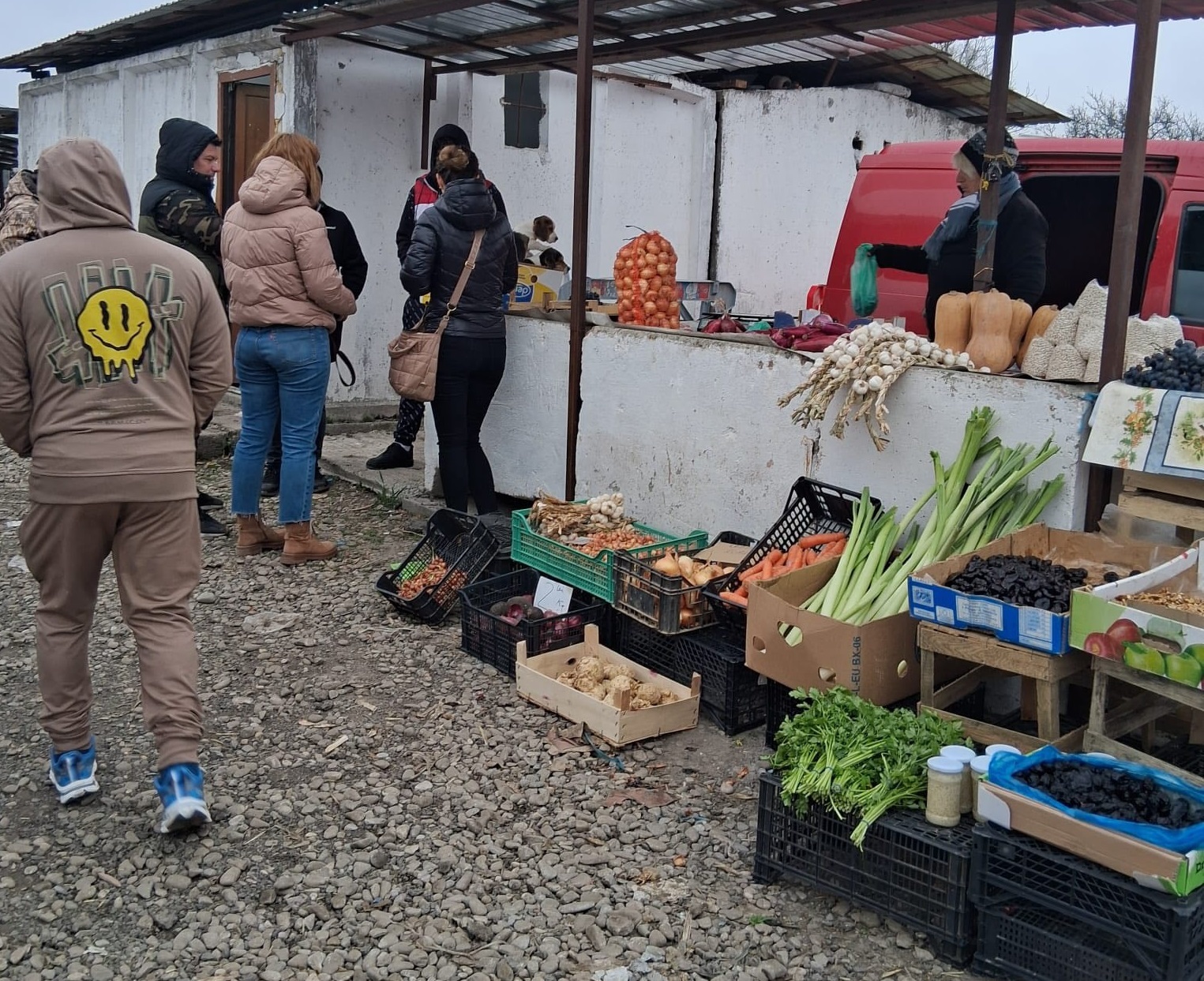 FOTO Control în târgul din Voluntari – târgul nu are autorizație pentru comercializarea animalelor vii