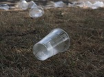 Adoptat cu scandal în primă etapă - Consumul băuturilor alcoolice în incinta stadioanelor, la evenimente sportive, trece de Senat