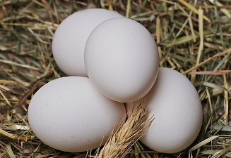 Ouăle se scumpesc accelerat. Primele semne de penurie în supermarketuri din UE